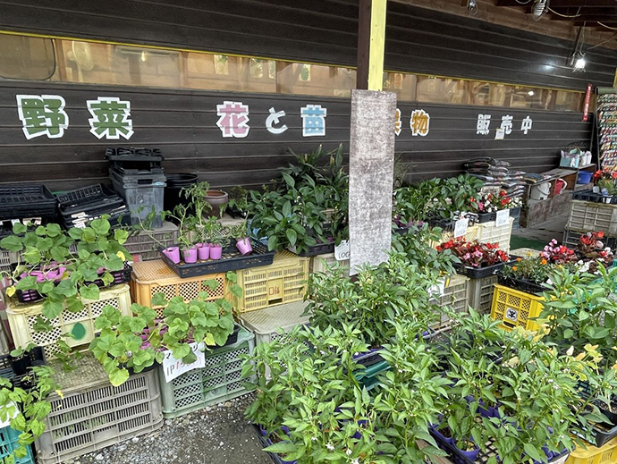 四季彩ふれあい市場大住店