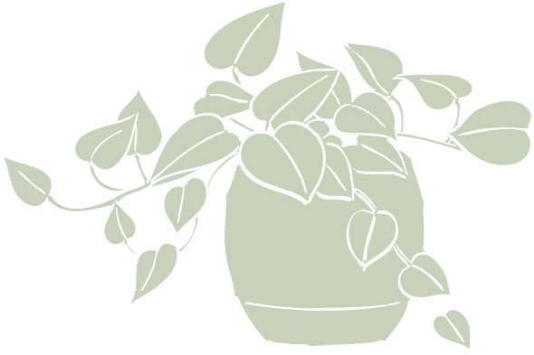 敷島ハウジング シキシマセレクション 植物画像